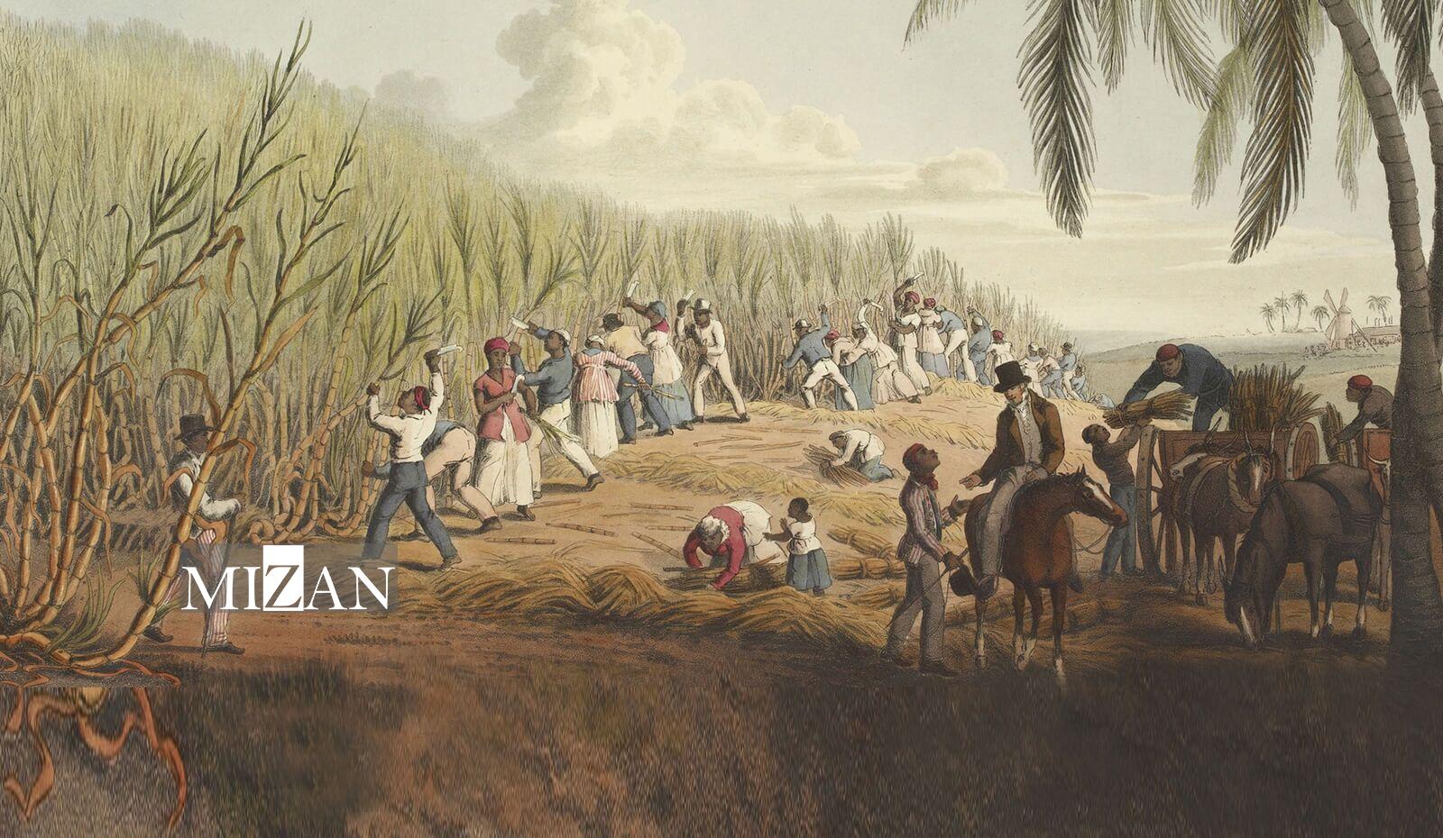 آنچه از تجارت برده در اقیانوس اطلس میدانیم//////////////////////// عید آنچه از تجارت برده در اقیانوس اطلس میدانیم//////////////////////// عید