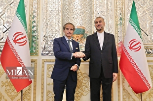 امیرعبداللهیان در دیدار گروسی: همکاری ایران و آژانس نباید تحت تاثیر رویکرد آمریکا باشد