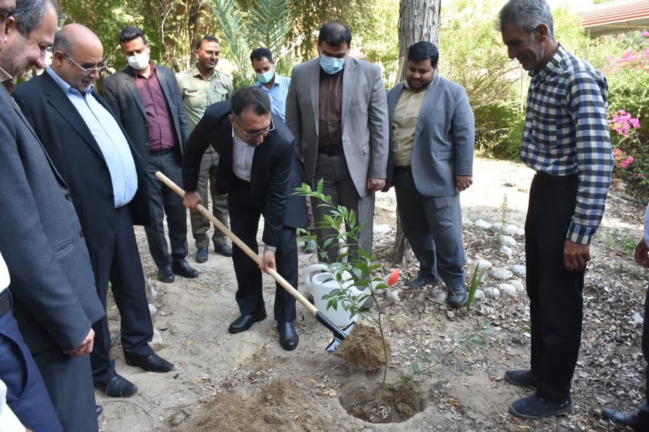 بازدید رئیس کل دادگستری هرمزگان از اداره کل منابع طبیعی در راستای تسریع در پاسخگویی به استعلامات طرح حدنگاری اراضی کشاورزی/ رتبه نخست هرمزگان در مدت زمان پاسخگویی به استعلامات منابع طبیعی بازدید رئیس کل دادگستری هرمزگان از اداره کل منابع طبیعی در راستای تسریع در پاسخگویی به استعلامات طرح حدنگاری اراضی کشاورزی/ رتبه نخست هرمزگان در مدت زمان پاسخگویی به استعلامات منابع طبیعی