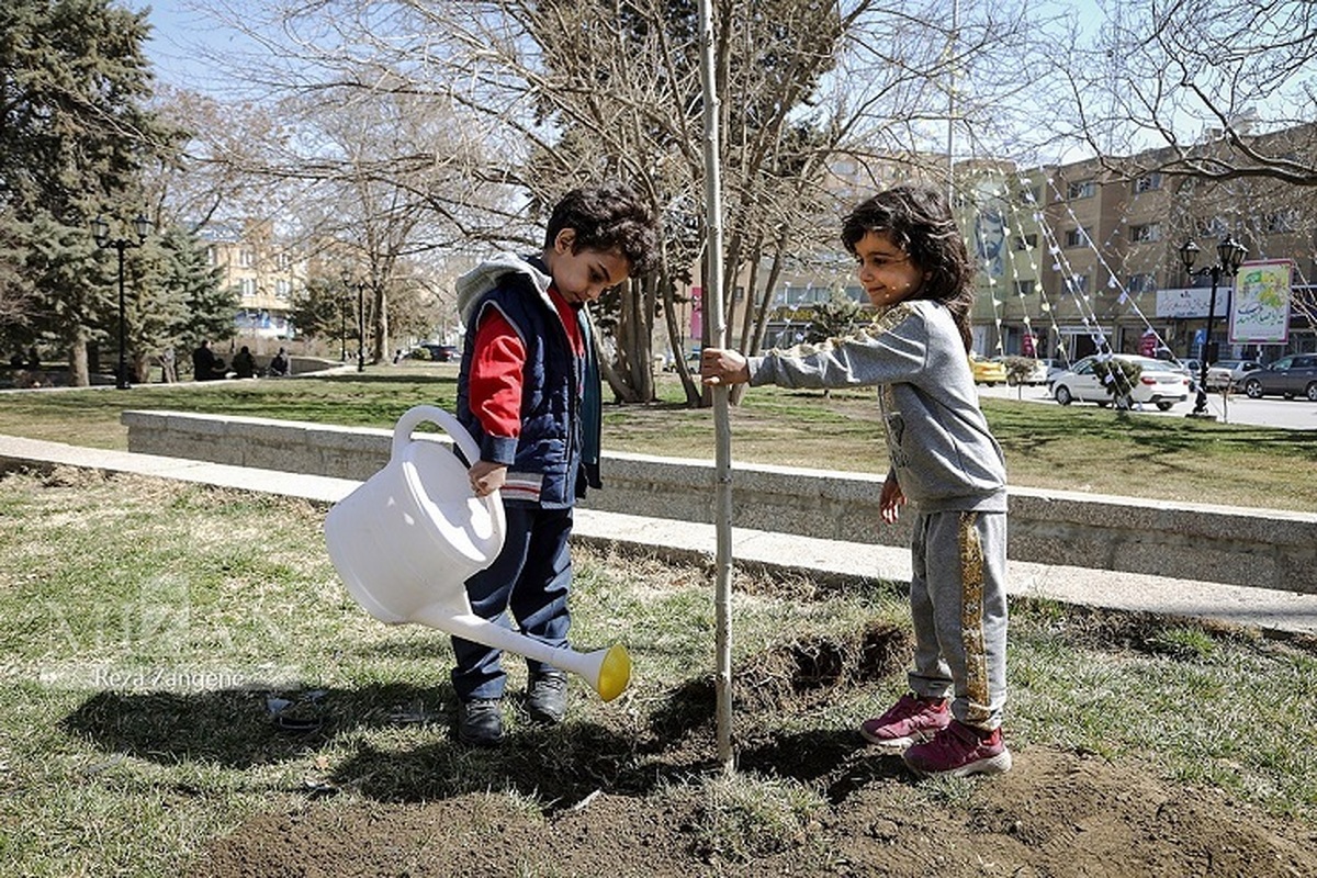 معاون دادستان همدان: به منظور سهیم شدن مردم برای ایجاد فضایی سبز و سالم به شهروندان نهال رایگان اهدا می‎شود