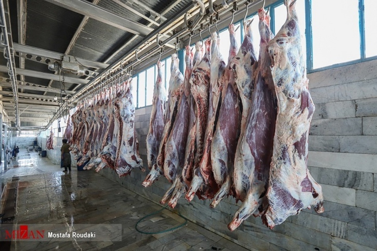 قیمت گوشت نزولی می‌شود