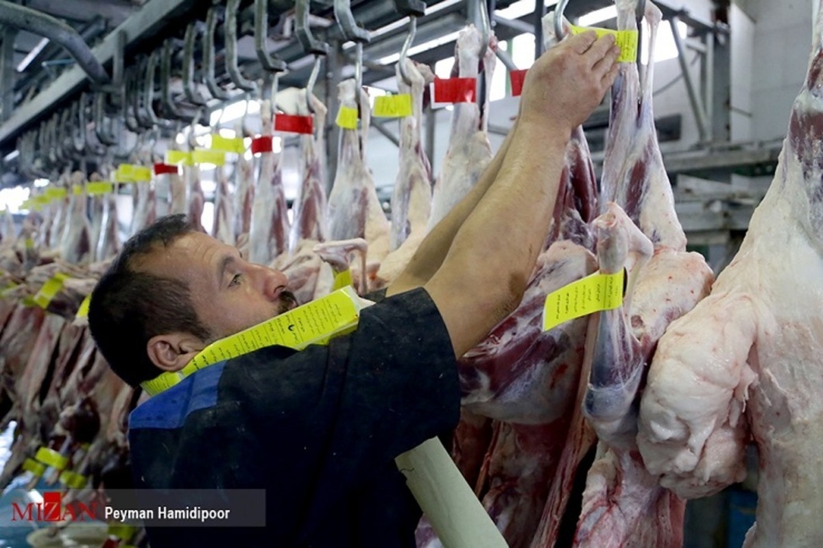 روند کاهشی قیمت گوشت قرمز در ایام پایانی سال