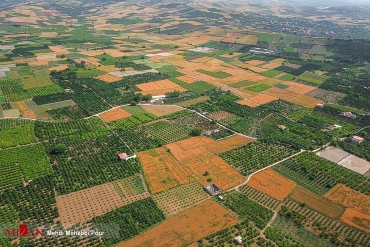 ۶۰۰ هزار هکتار از اراضی کشاورزی استان خوزستان در سال گذشته حدنگاری و ثبت مالکیت شد