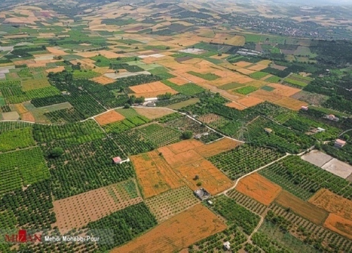 رشد دو برابری صدور اسناد مالکیت کشاورزی در استان خوزستان /حدنگاری ۴۲۰ هزار هکتار از اراضی کشاورزی استان