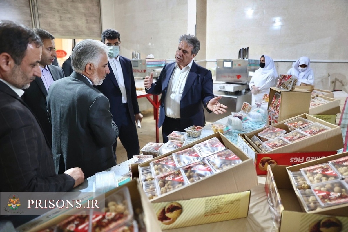 بازدید رئیس سازمان زندان‌ها از ندامتگاه فردیس/ محمدی: شعار سال را در اشتغال‌زایی برای زندانیان عملیاتی خواهیم کرد
 