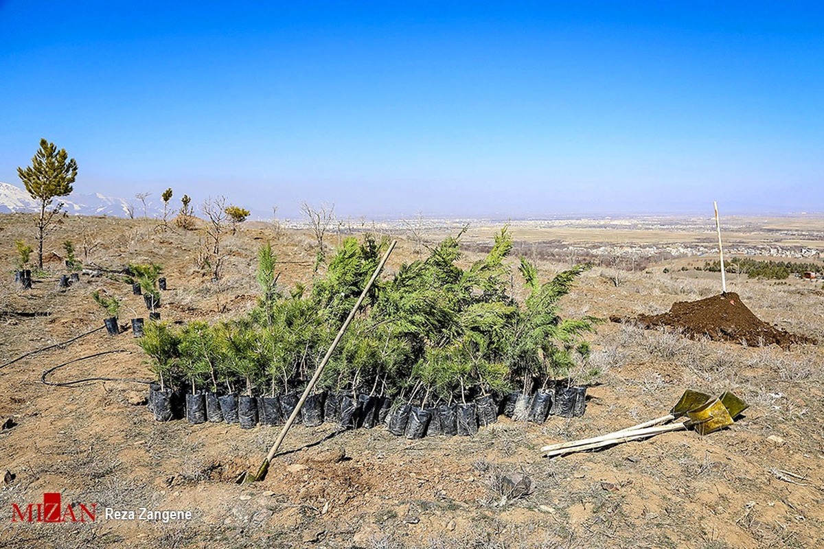 اقدامات دستگاه قضا در راستای کاهش زندانیان/تهیه لباس برای کودکان نیازمند و کاشت ۳ هزار نهال مجازات جایگزین حبس در خوزستان شد