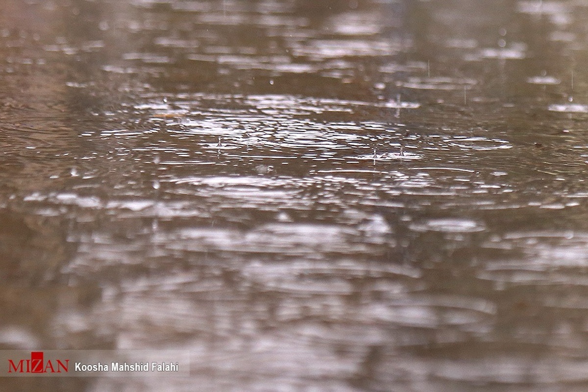 بارش سال زراعی کمتر از میانگین بلندمدت می‌شود