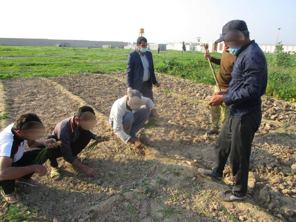 در راستای اقدامات راهبردی دستگاه قضا برای جلوگیری از تکرار جرم/ با همت دادگستری استان بوشهر حرفهآموزی و ایجاد اشتغال برای یک هزار و ۱۳۰ زندانی استان ممکن شد در راستای اقدامات راهبردی دستگاه قضا برای جلوگیری از تکرار جرم/ با همت دادگستری استان بوشهر حرفهآموزی و ایجاد اشتغال برای یک هزار و ۱۳۰ زندانی استان ممکن شد
