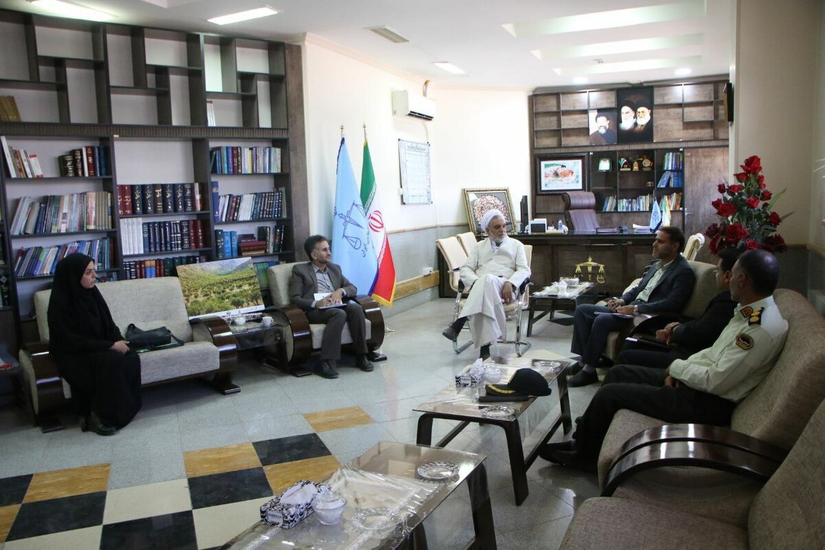 رئیس کل دادگستری استان کرمان: استفاده از سیستم‌های پایش تصویری به منظور مقابله با تغییر کاربری اراضی الزامی است