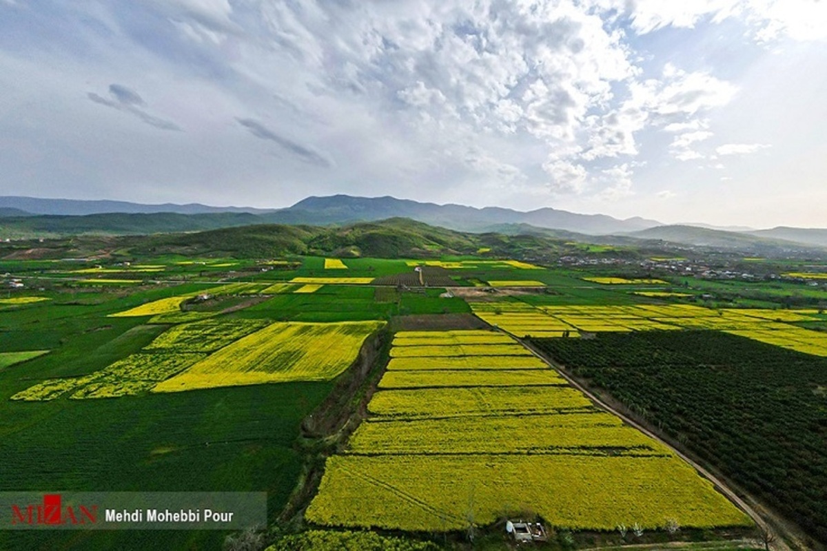 سند بیش از ۲۸ درصد زمین‌های کشاورزی استان گلستان صادر شد