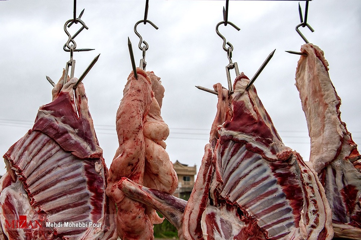 عرضه ۱۰ تن گوشت گرم در میادین تره‌بار شهرداری تهران