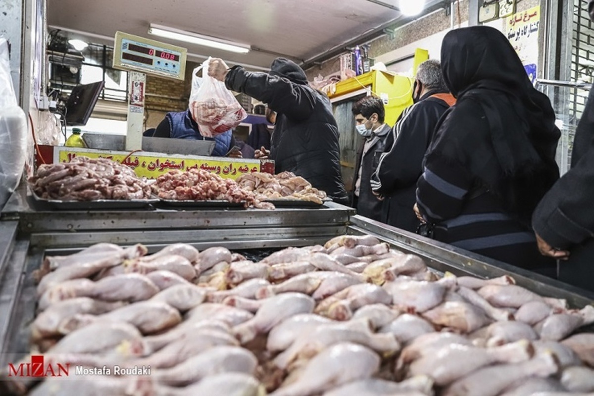 کاهش قیمت مرغ؛ شایعه یا واقعیت؟