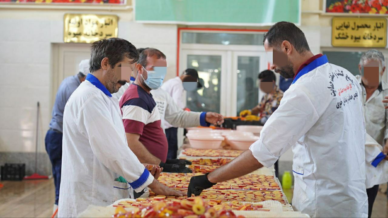 اشتغال 30 مدجوی زندان خوی در کارگاه تولید میوه خشک/ اشتغال 30 مدجوی زندان خوی در کارگاه تولید میوه خشک/