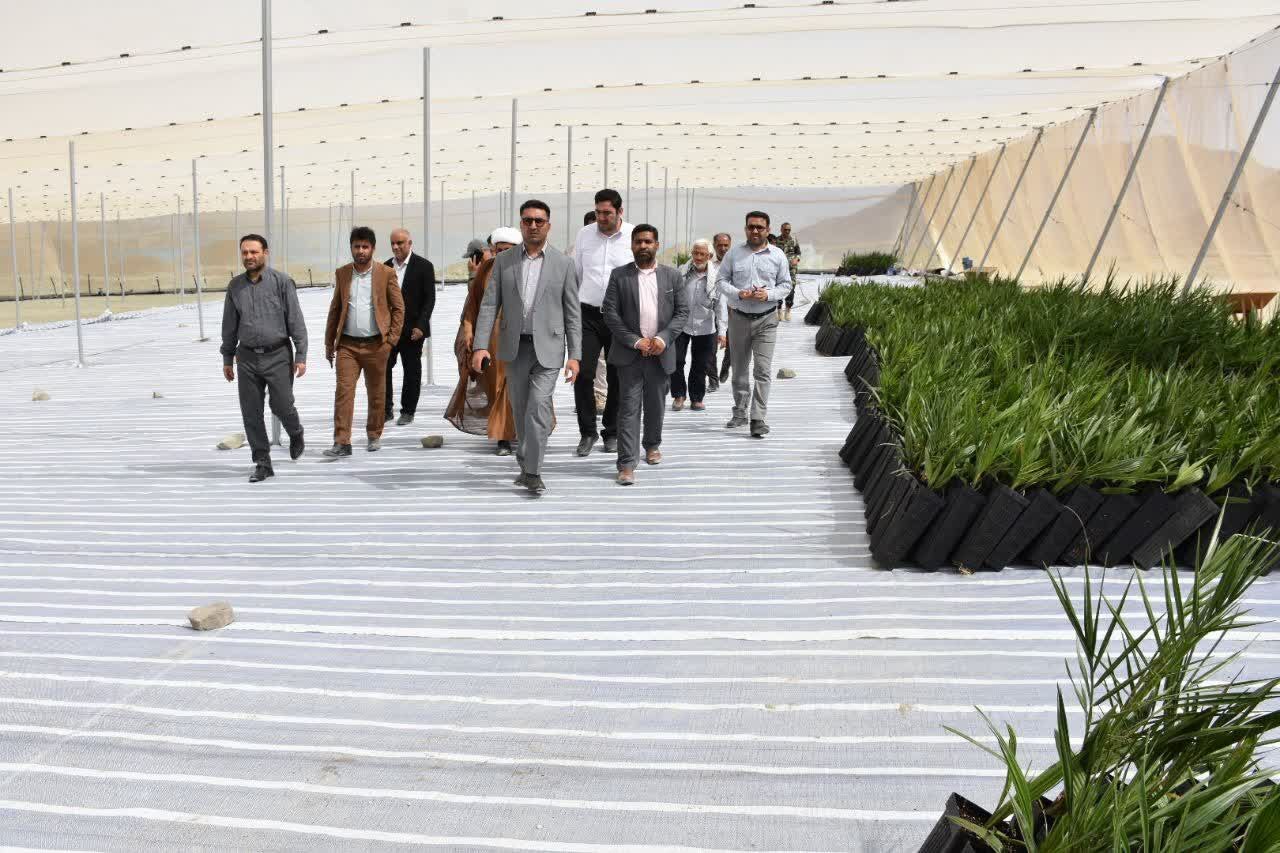 حمایت دستگاه قضایی از اشتغالزایی برای ۴ هزار جوان هرمزگانی/ بزرگترین نخلستان «مَجول» دنیا در بشاگرد احداث میشود حمایت دستگاه قضایی از اشتغالزایی برای ۴ هزار جوان هرمزگانی/ بزرگترین نخلستان «مَجول» دنیا در بشاگرد احداث میشود