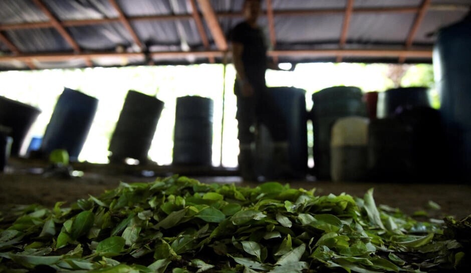 اروپا، بزرگترین بازار مصرف کوکائین جهان؛ بحران فنتانیل در راه است اروپا، بزرگترین بازار مصرف کوکائین جهان؛ بحران فنتانیل در راه است