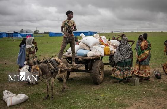 نقض فزاینده حقوق بشر؛ نتیجه جهان معتاد به جنگ و خشونت نقض فزاینده حقوق بشر؛ نتیجه جهان معتاد به جنگ و خشونت