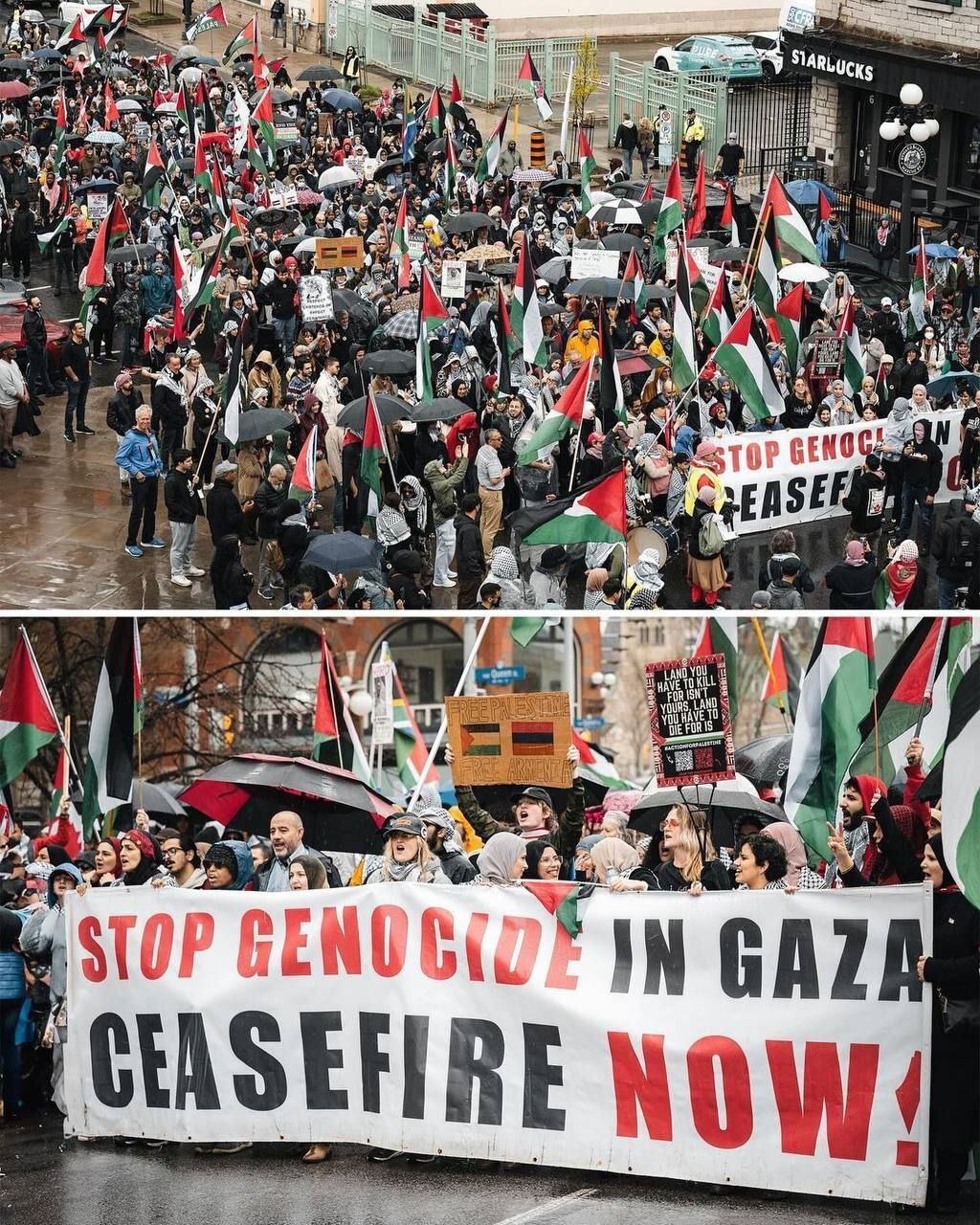 جنبشهای دانشجویی حامی فلسطین در سراسر جهان؛ پلیس آمریکا بیش از ۷۰۰ دانشجو را بازداشت کرد جنبشهای دانشجویی حامی فلسطین در سراسر جهان؛ پلیس آمریکا بیش از ۷۰۰ دانشجو را بازداشت کرد