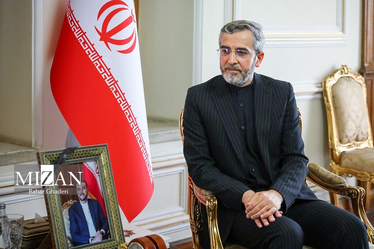 باقری: عضویت ایران در بریکس میراث شهید آیت‌الله رئیسی است