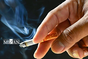رئیس دبیرخانه ستاد کشوری کنترل دخانیات: جرایم دخانیات بازدارندگی لازم را ندارد