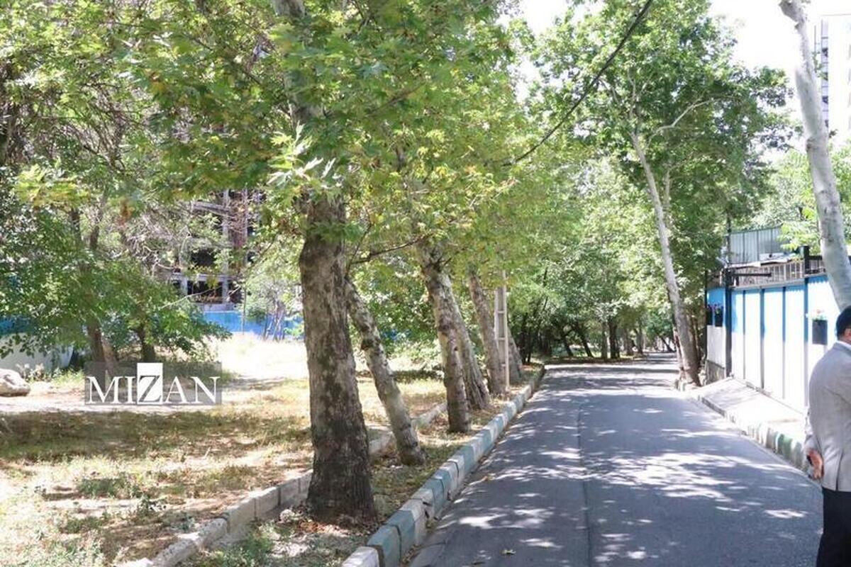 پیگیری علل خشک شدن درختان منطقه چیتگر در دادستانی تهران/ صالحی: ظرف یک هفته طرح کاداستر در پارک چیتگر اجرایی شود