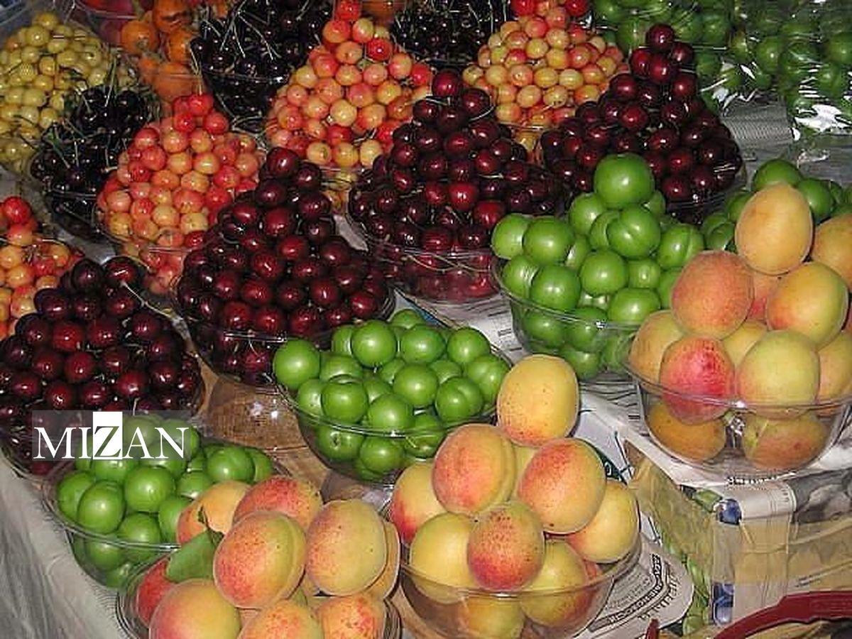 میوه‌هایی برای نخوردن؛ نوبرانه‌هایی که کمتر کسی توان خرید آن‌ها را دارد