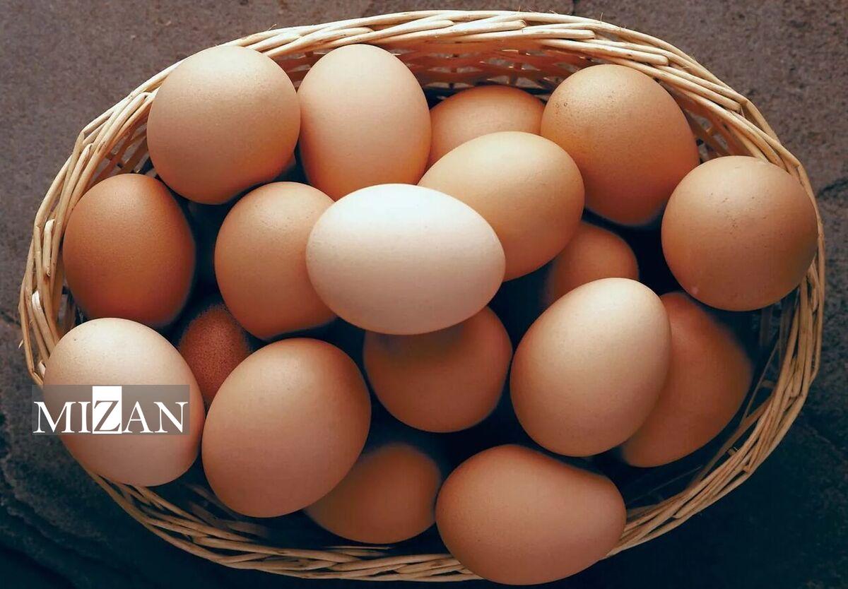 قیمت تخم مرغ در میادین و بازار‌های میوه و تره‌بار ارزان شد
