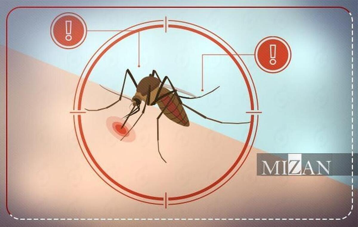 وزارت بهداشت: پشه آئدس به استان تهران نرسیده است