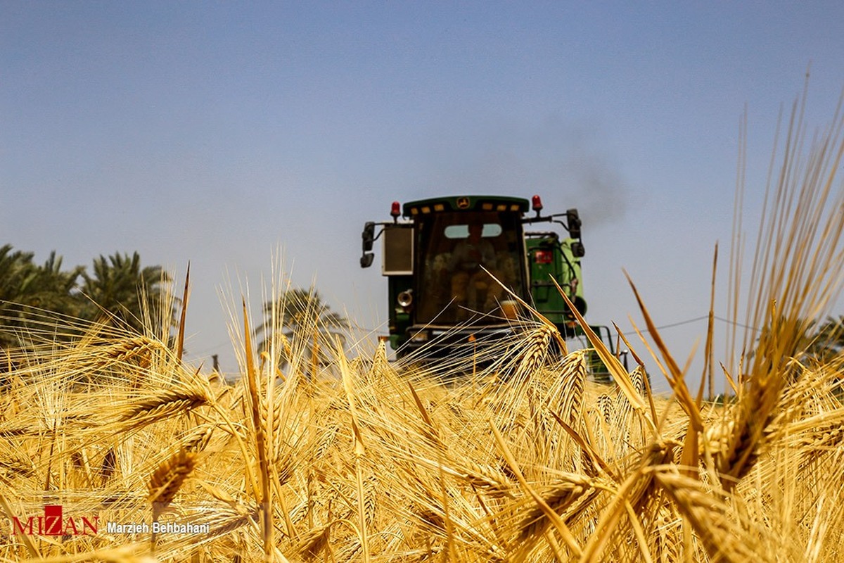 دستور رئیس سازمان بازرسی به معاون تولیدی برای پیگیری طلب گندمکاران