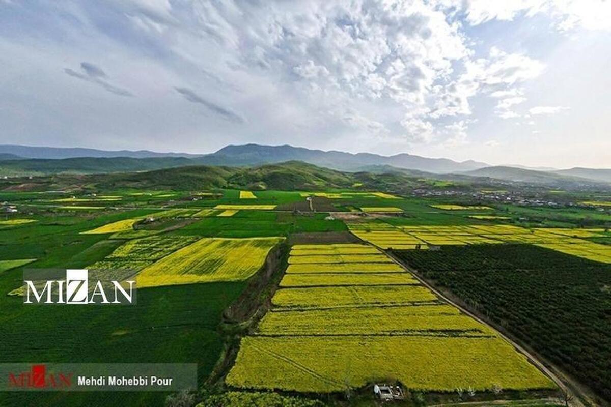 رشد ۸۷ درصدی حدنگاری اراضی زراعی استان یزد