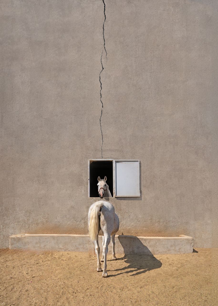 انتخاب خوشرو در مسابقه جهانی ۳۵awards به عنوان ۱۰ عکاس برتر جهان انتخاب خوشرو در مسابقه جهانی ۳۵awards به عنوان ۱۰ عکاس برتر جهان