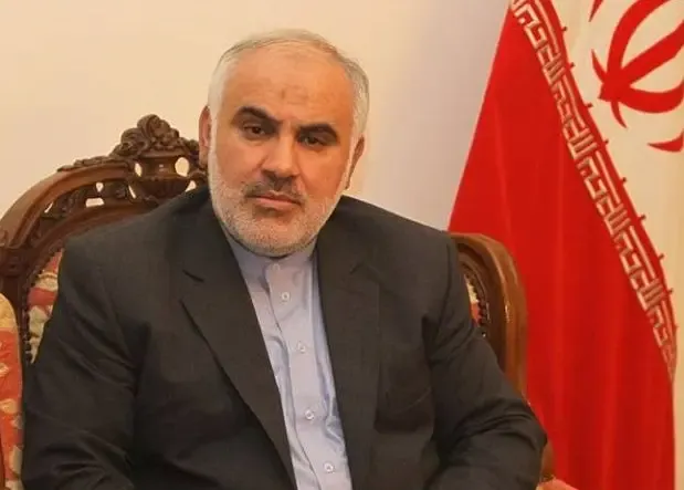 سفیر ایران در دهلی نو: هنگام شهادت قائد شهید امت شاهد سوگواری‌های عظیم مردم هند بودیم