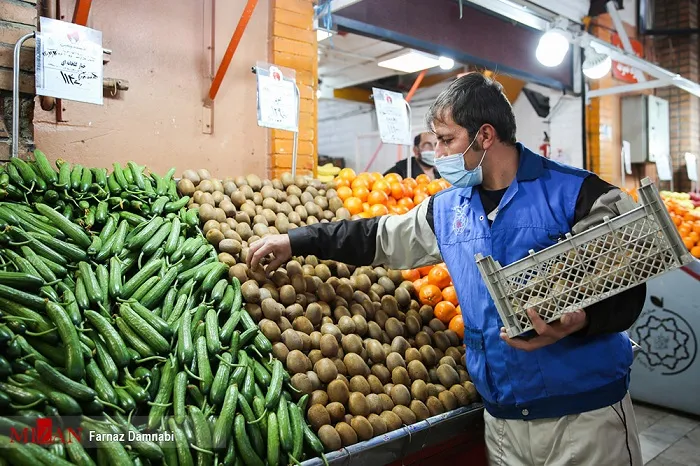 اختلاف قیمت 41 درصدی قیمت میوه در میادین و بازار‌های میوه و تره‌بار به نسبت سطح شهر