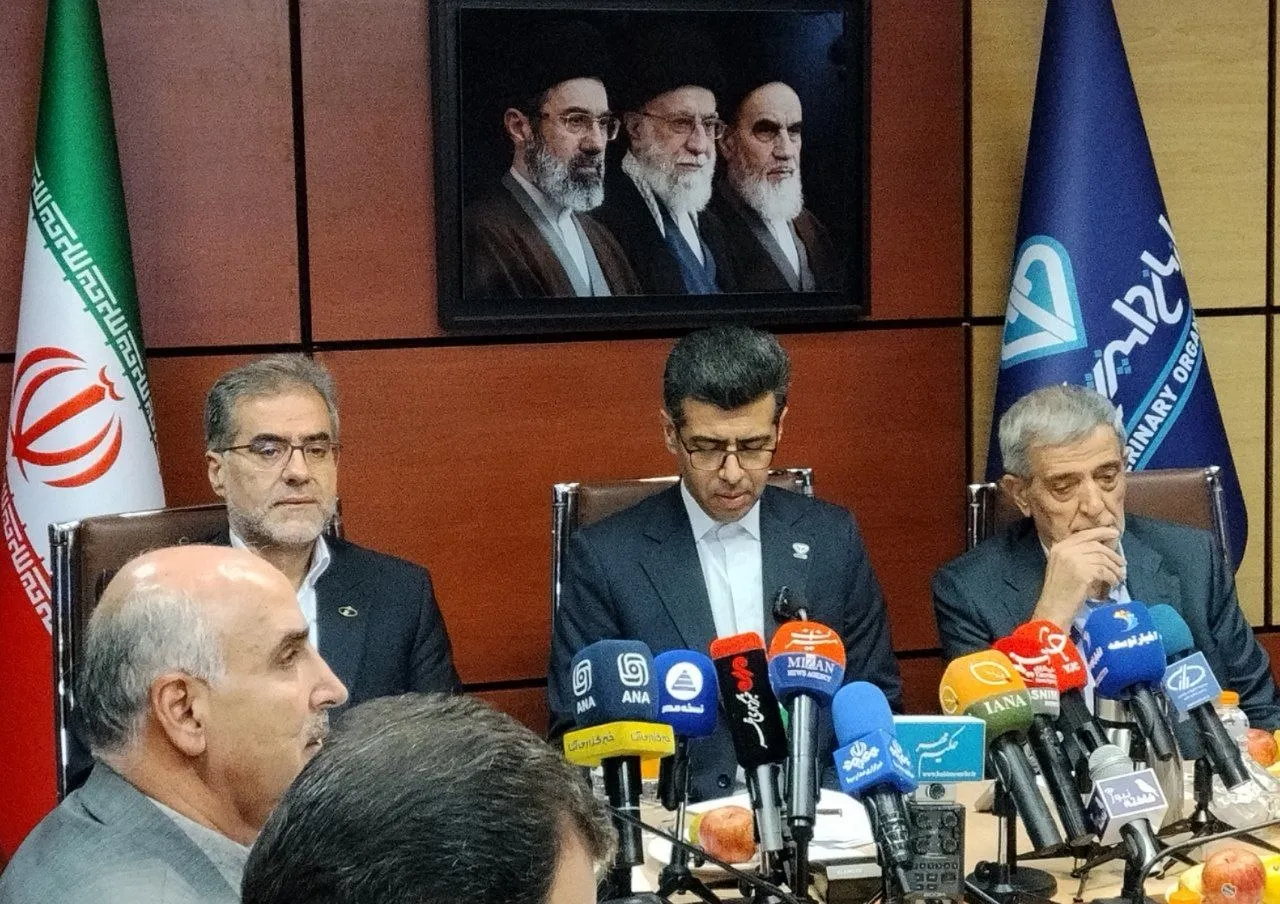 تمامی گوشتهای منجمد وارداتی در مبادی ورودی آزمایش میشوند