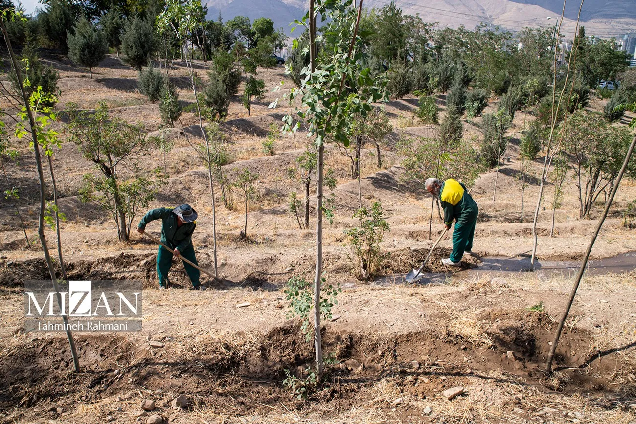 بوستانهای تهران در مسیر گذار از آبیاری سنتی به سمت آبیاری هوشمند/ تلاش برای جایگزینی پساب تصفیهشده بهجای منابع زیرزمینی است